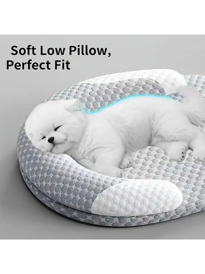 Premium Dog Bed And Pet Furniture With Mats Hammock And Sofas