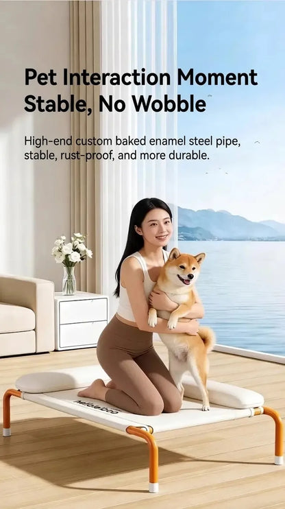 オールシーズン対応の犬用キャンプベッド、取り外し・洗濯可能、高床式で防湿性あり